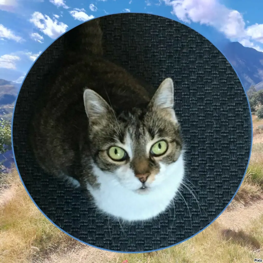 Andachtsbild von Tanja mit Timmy im Herzen 