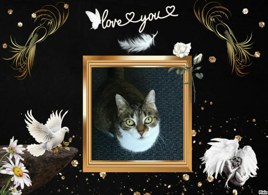 Andachtsbild von Tanja mit Timmy im Herzen 