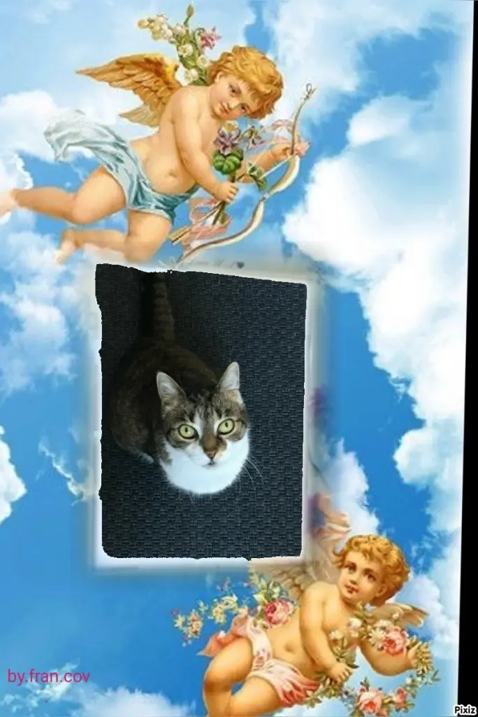 Andachtsbild von Tanja mit Timmy im Herzen 