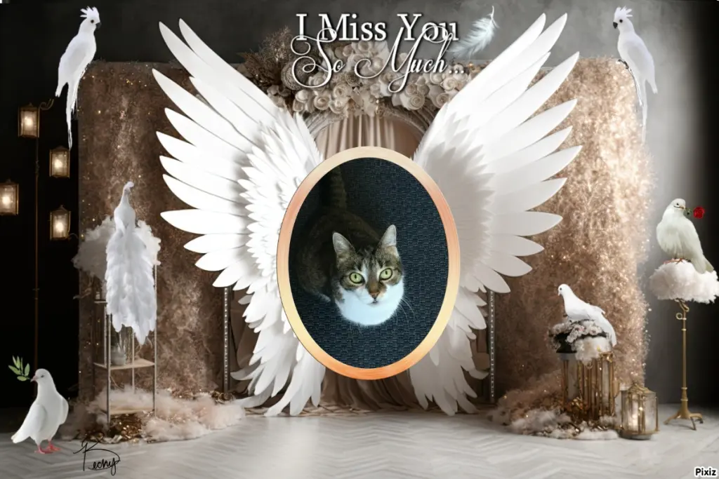 Andachtsbild von Tanja mit Timmy im Herzen 