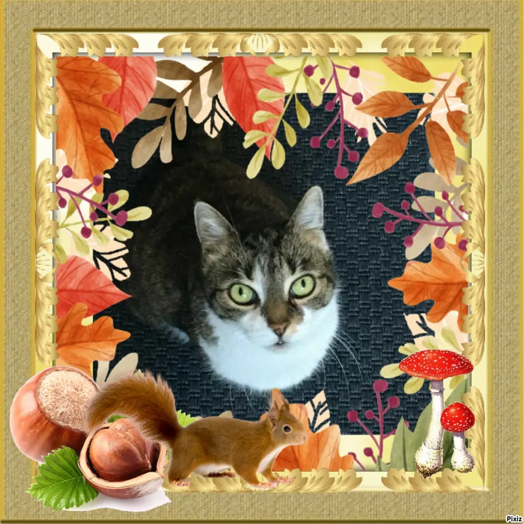 Andachtsbild von Tanja mit Timmy im Herzen 