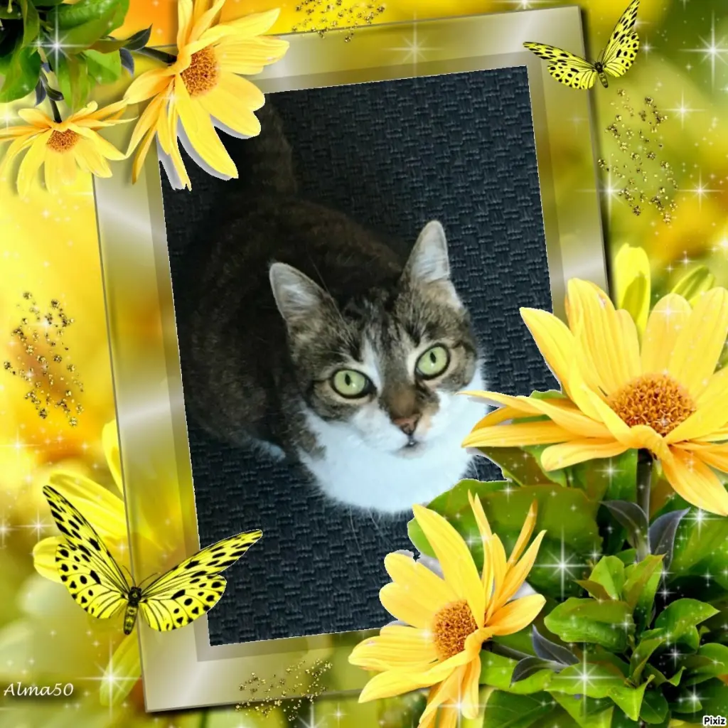 Andachtsbild von Tanja mit Timmy im Herzen 