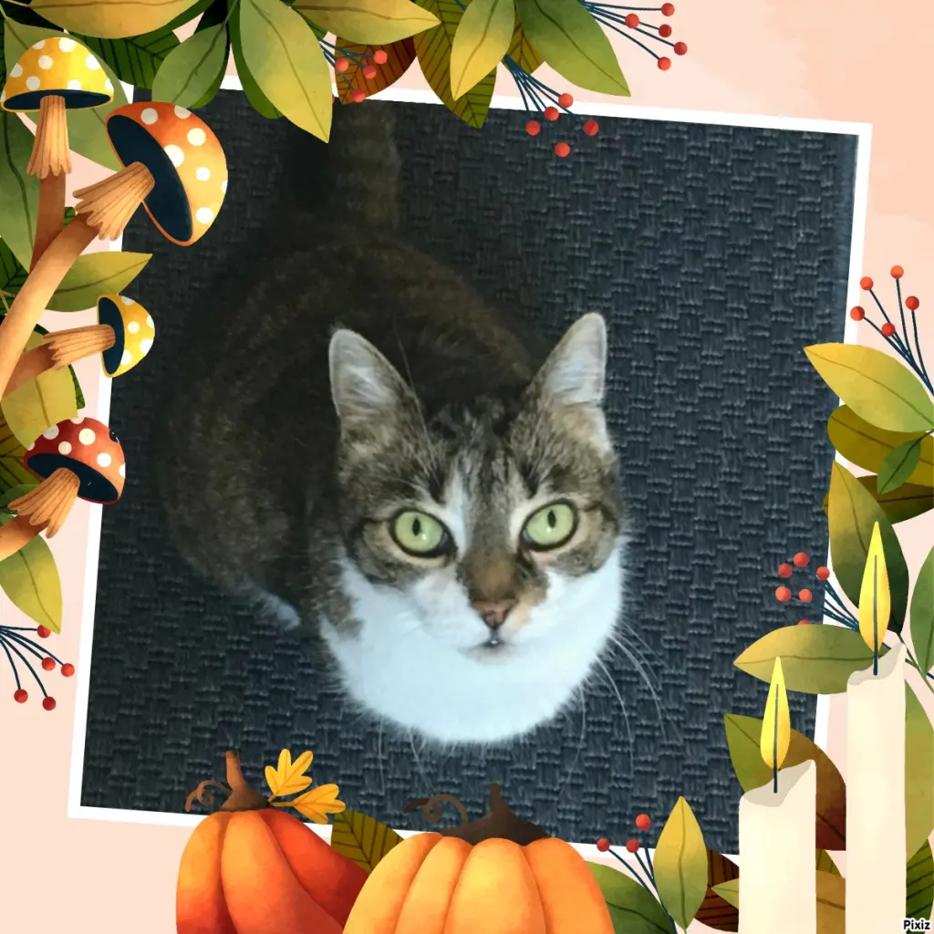 Andachtsbild von Tanja mit Timmy im Herzen 