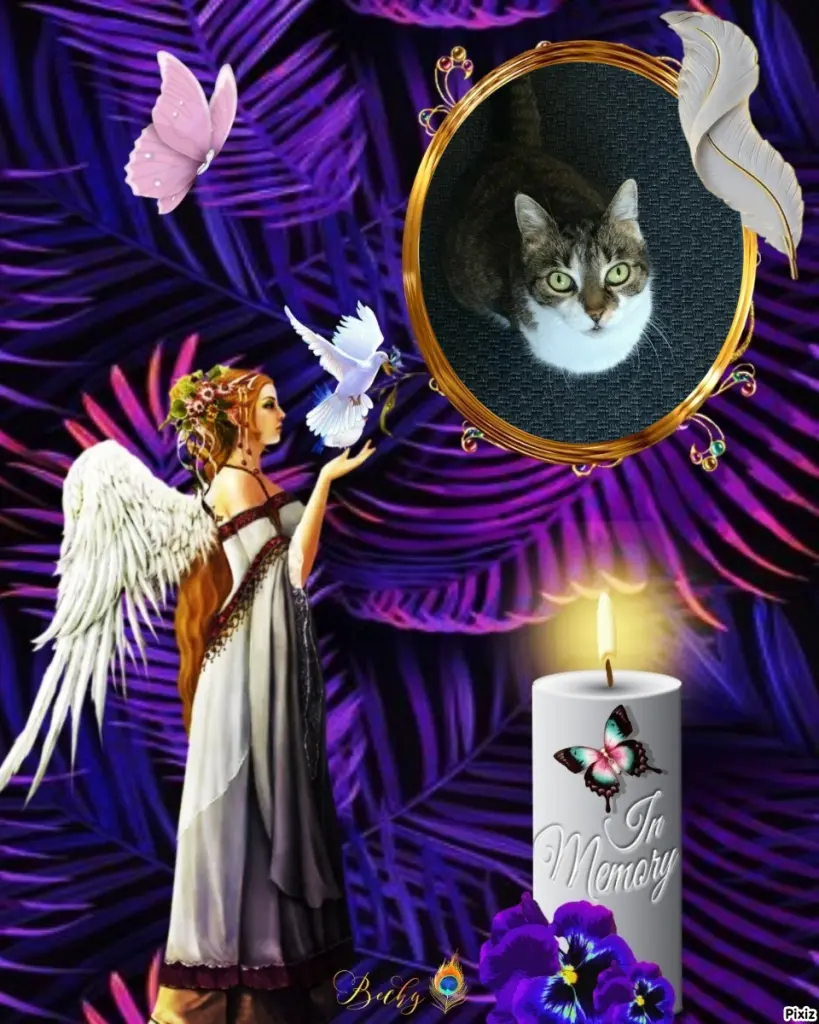 Andachtsbild von Tanja mit Timmy im Herzen 