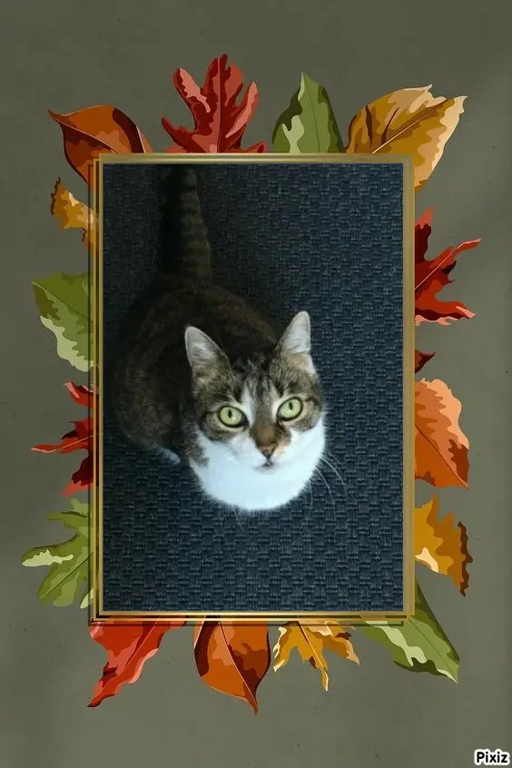 Andachtsbild von Tanja mit Timmy im Herzen 