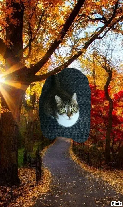 Andachtsbild von Tanja mit Timmy im Herzen 