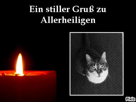 Andachtsbild von Tanja mit Timmy im Herzen 