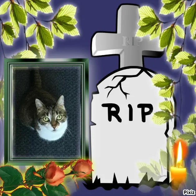 Andachtsbild von Tanja mit Timmy im Herzen 