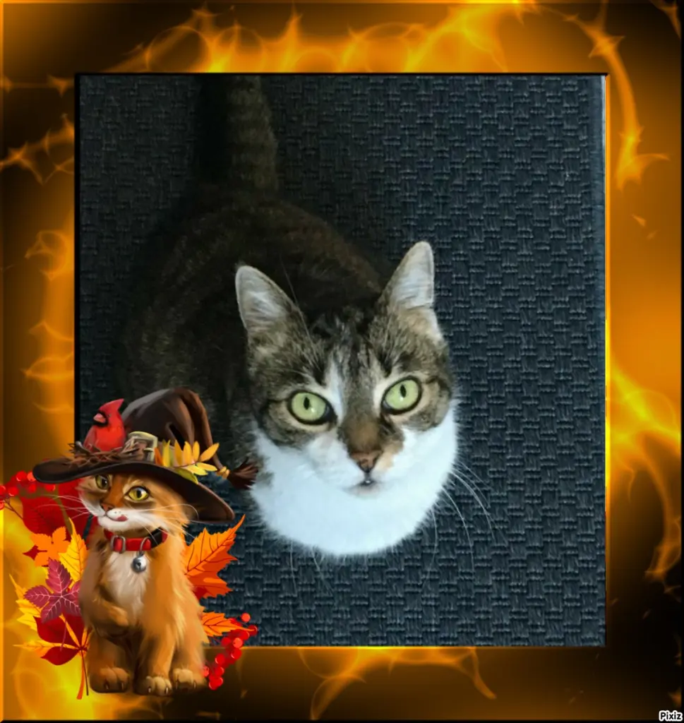 Andachtsbild von Tanja mit Timmy im Herzen 