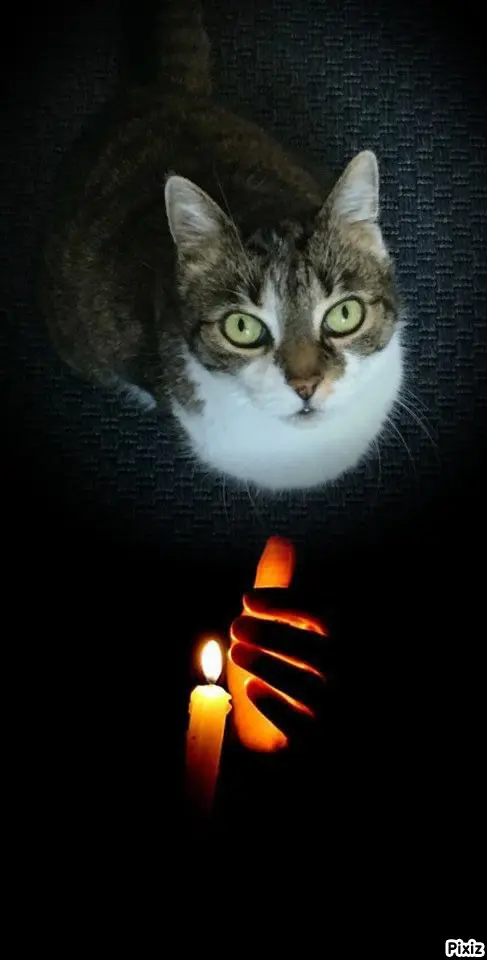 Andachtsbild von Tanja mit Timmy im Herzen 