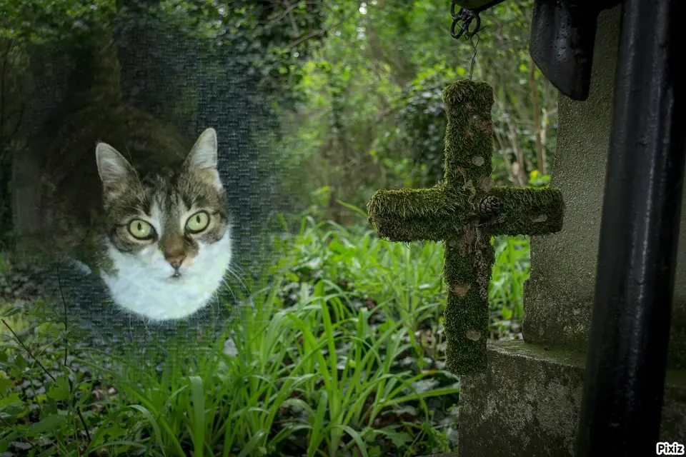 Andachtsbild von Tanja mit Timmy im Herzen 