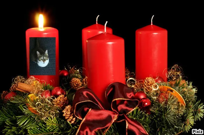 Andachtsbild von Tanja mit Timmy im Herzen 