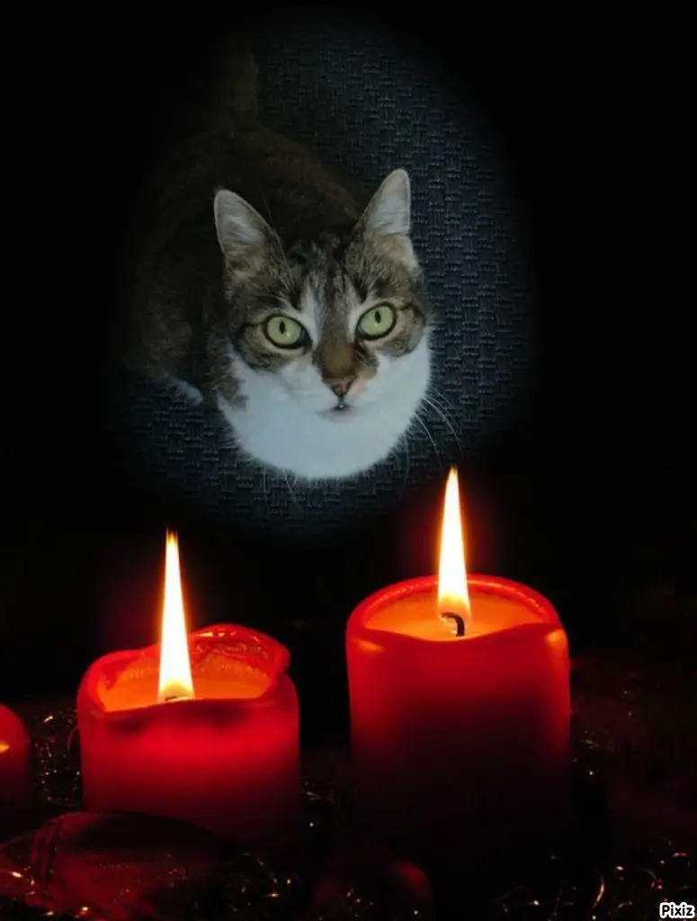 Andachtsbild von Tanja mit Timmy im Herzen 