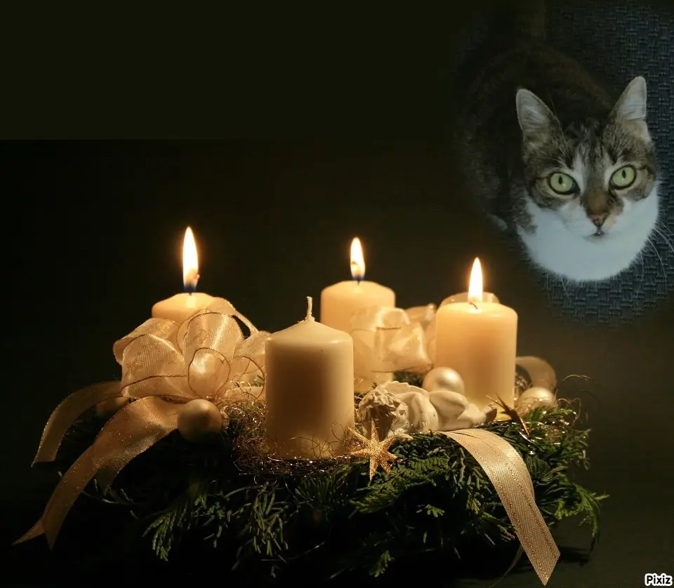 Andachtsbild von Tanja mit Timmy im Herzen 