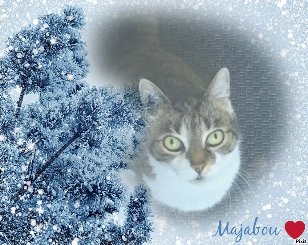 Andachtsbild von Tanja mit Timmy im Herzen 