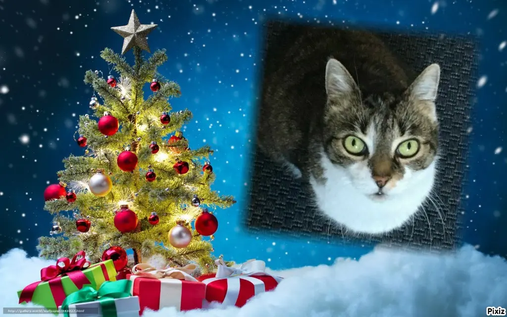 Andachtsbild von Tanja mit Timmy im Herzen 