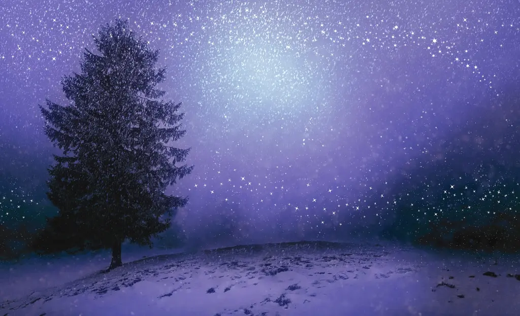 Andachtsbild von  ✬¸.•*¨*•.☆Sternengruß an Bou✬¸.•*¨*•.☆❤️