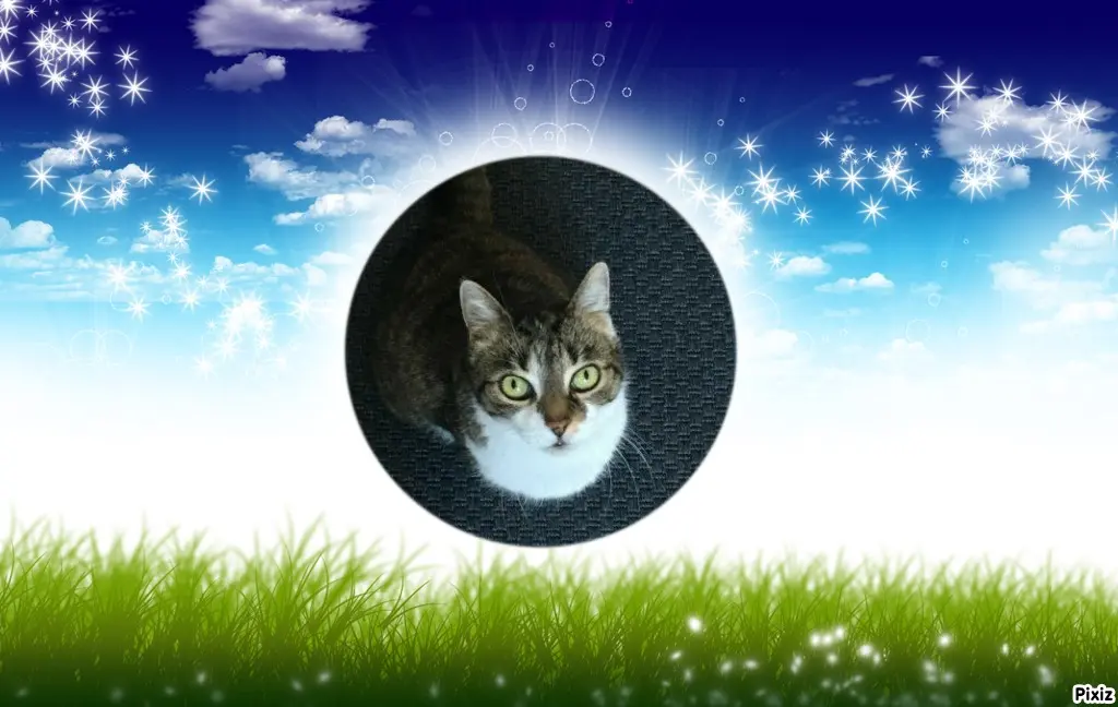 Andachtsbild von Tanja mit Timmy im Herzen 