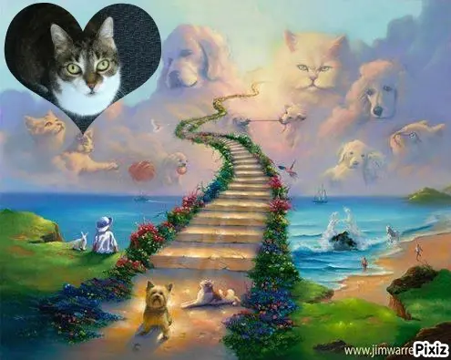 Andachtsbild von Tanja mit Timmy im Herzen 