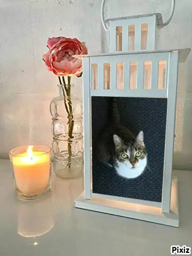 Andachtsbild von Tanja mit Timmy im Herzen 