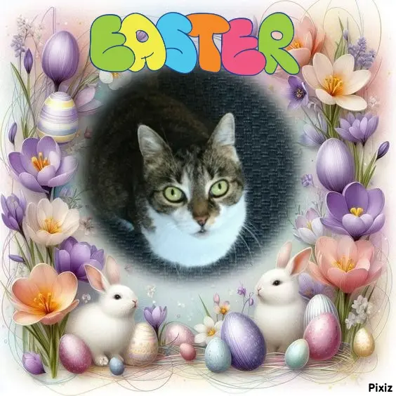 Andachtsbild von Tanja mit Timmy im Herzen 