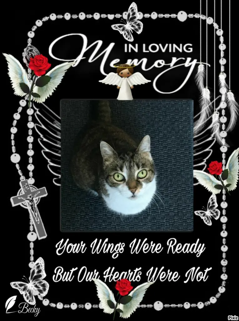 Andachtsbild von Tanja mit Timmy im Herzen