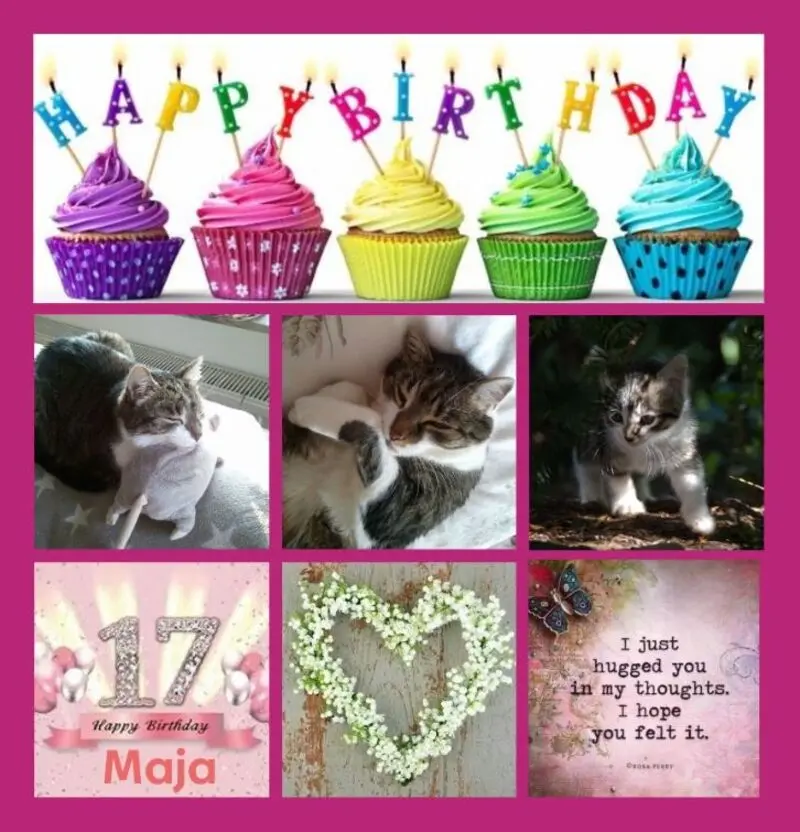 Andachtsbild von Geburtstagsrosen für Maja