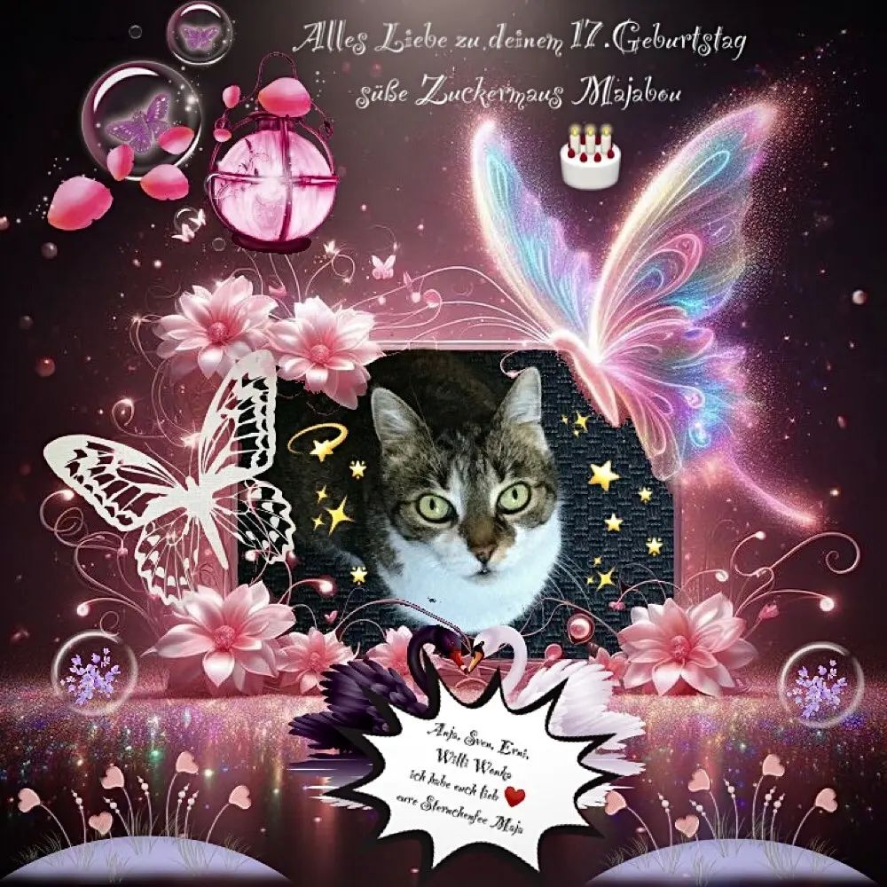 Andachtsbild von ♥️Geburtstagsgrüße zum 17.Geburtstag an Sternchenfee Maja♥️