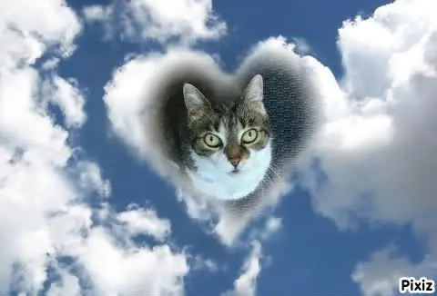 Andachtsbild von Tanja mit Timmy im Herzen 