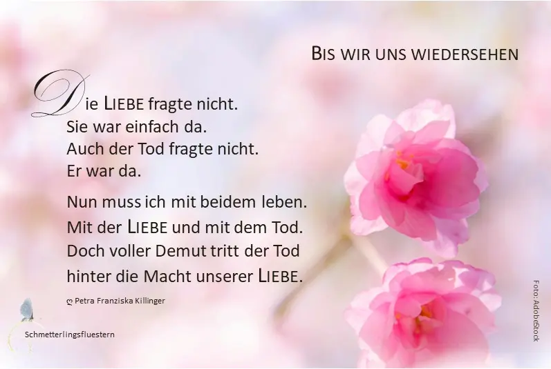 Andachtsbild von *¨*•.☆✬ Himmelsgruß an meine geliebte Bou❤️ ☆✬¸.•*¨*