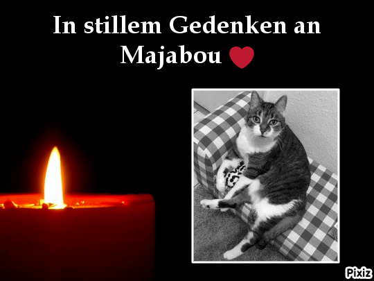 Andachtsbild von Tanja mit Timmy im Herzen 