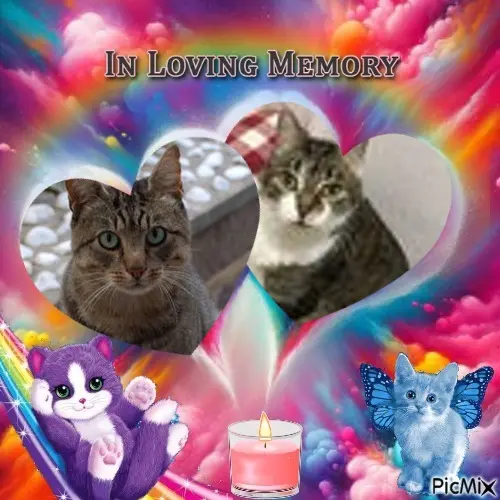 Andachtsbild von ❤️❤️❤️❤️❤️❤️❤️❤️❤️