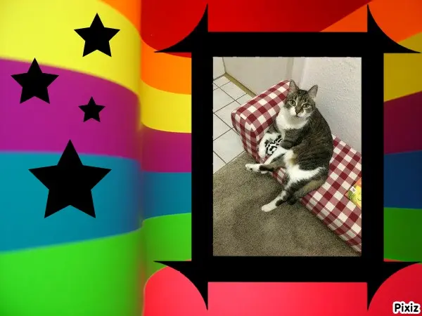 Andachtsbild von Tanja mit Timmy im Herzen 