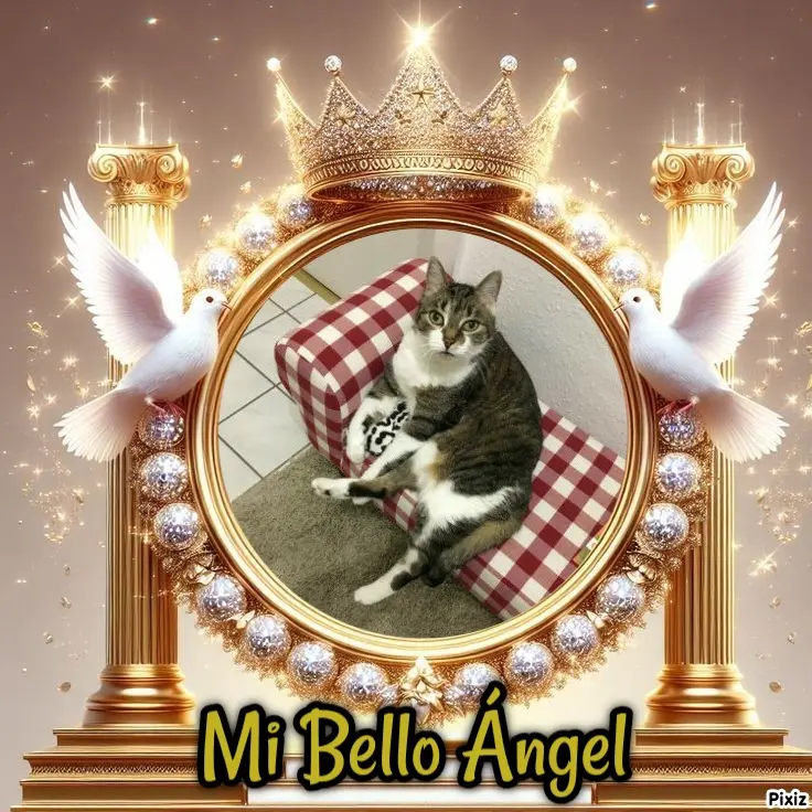 Andachtsbild von Tanja mit Timmy im Herzen 