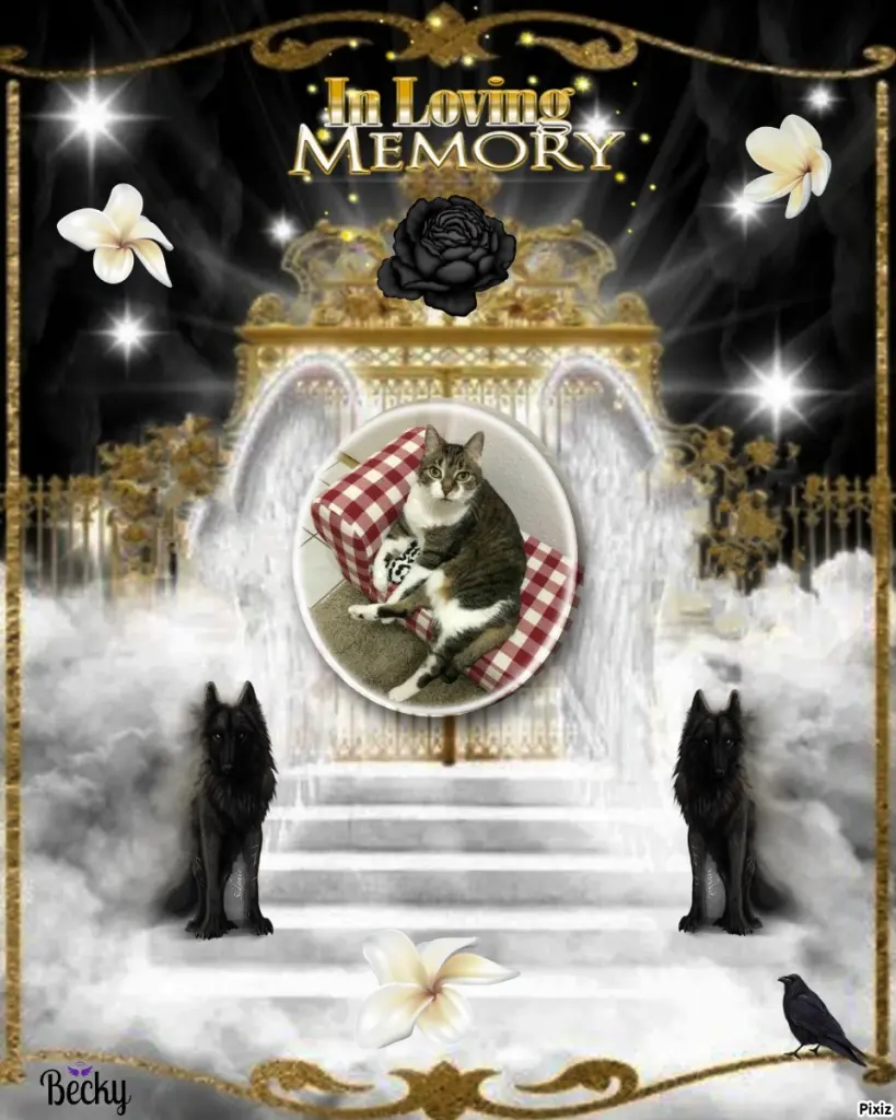 Andachtsbild von Tanja mit Timmy im Herzen 