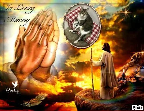 Andachtsbild von Tanja mit Timmy im Herzen 