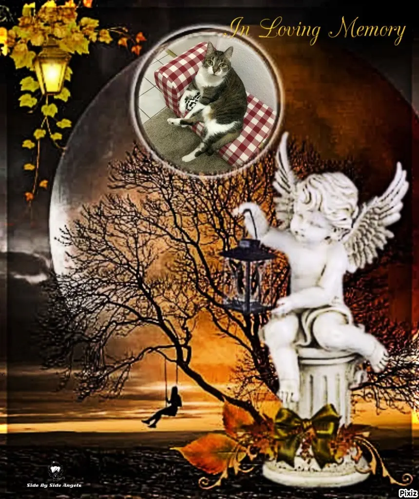 Andachtsbild von Tanja mit Timmy im Herzen 