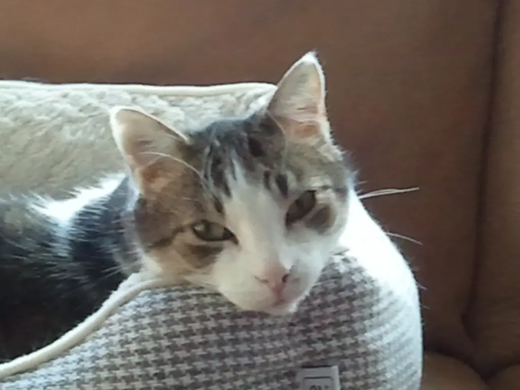 Andachtsbild von ⭐️FÜR WILLUSCH ⭐️