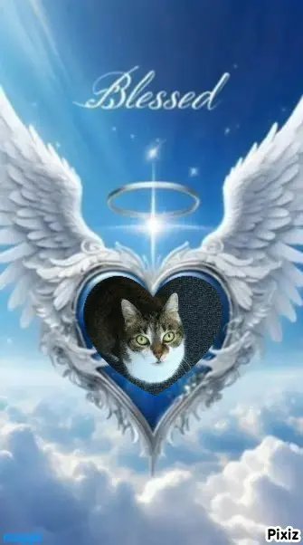 Andachtsbild von Tanja mit Timmy im Herzen 