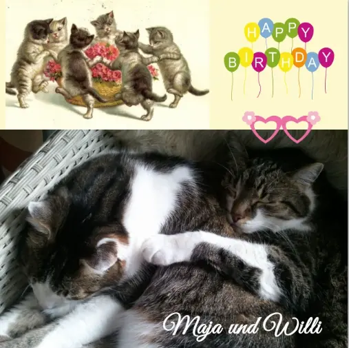 Andachtsbild von Rosen für Maja und Willi Wonka zum 18. Geburtstag