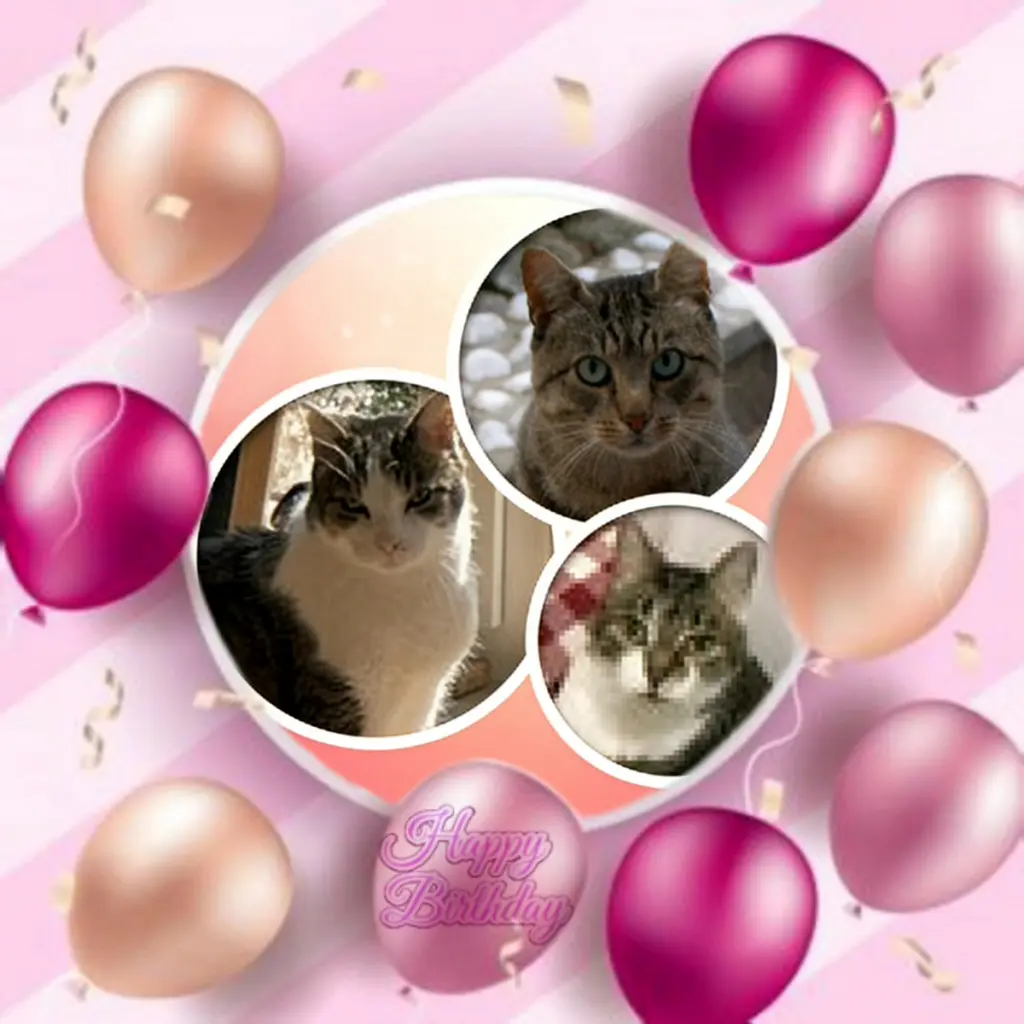 Andachtsbild von ❤️❤️❤️❤️❤️❤️❤️❤️❤️❤️❤️❤️