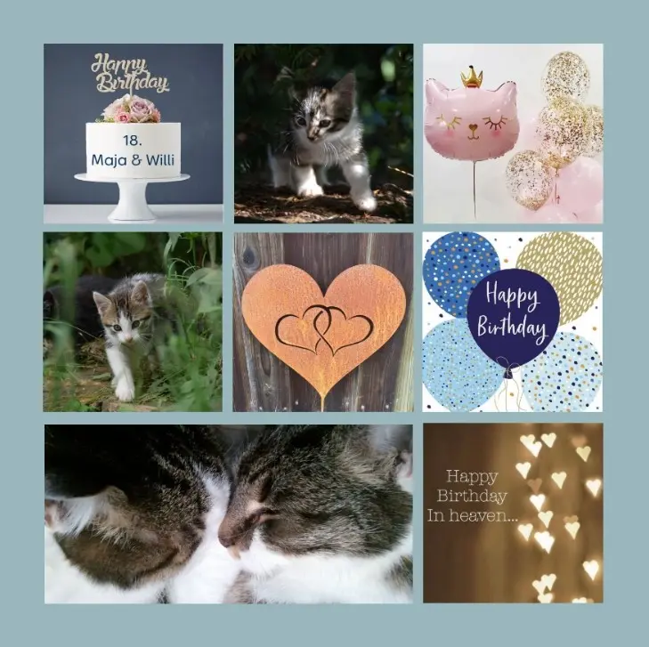 Andachtsbild von Happy birthday Maja