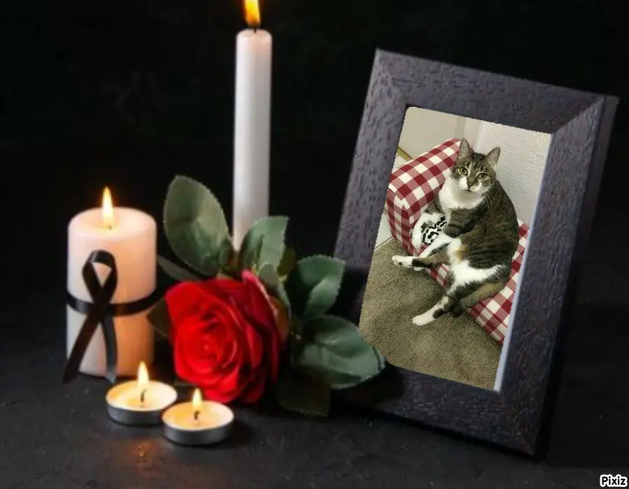 Andachtsbild von Tanja mit Timmy im Herzen 