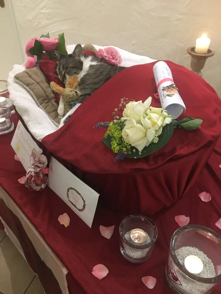 Andachtsbild von ❀*.¸¸.•*❀Rosengarten Badbergen 21.06.19❀*.¸¸.•*❀