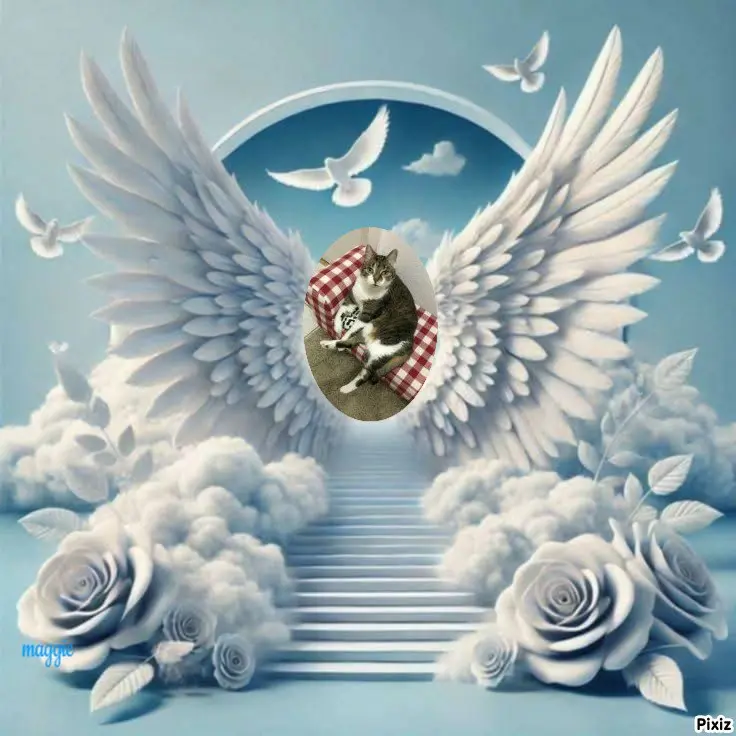 Andachtsbild von Tanja mit Timmy im Herzen 