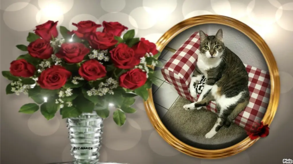 Andachtsbild von Tanja mit Timmy im ❤