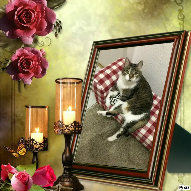 Andachtsbild von Tanja mit Timmy im 💘