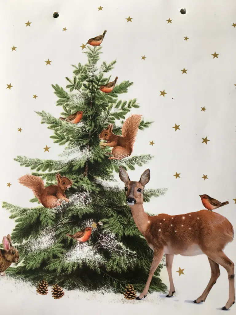 Andachtsbild von 🍂¸.•*¨*•.¸🍃Sternchengrüße🍂¸.•*¨*•.¸🍃