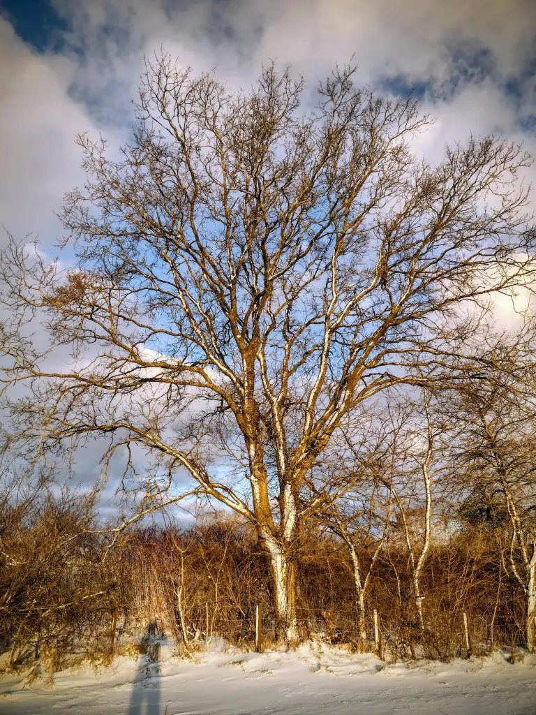 Andachtsbild von Corinna ❤️