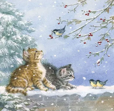 Andachtsbild von ✬🌈Sternchengrüße und Küsschen an meine Bini Bou🌈✬